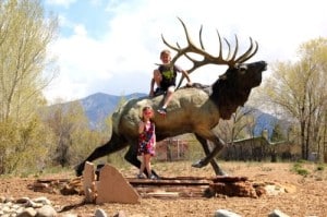 Kids on an Elk in Taos NM