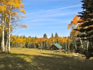 Ouray Colorado Cabin for sale