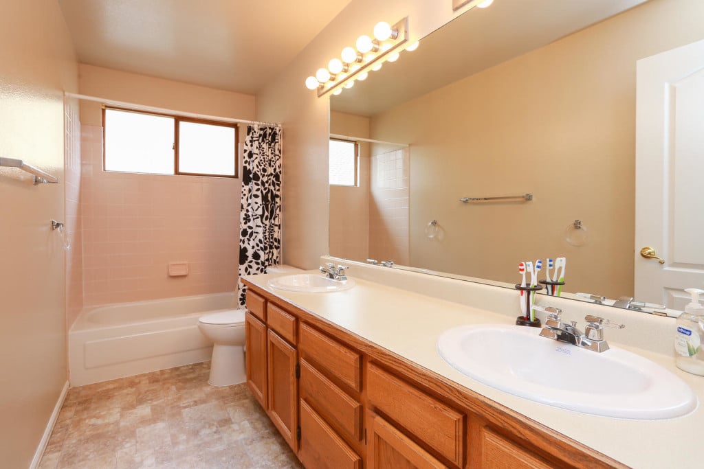 19127 E Hickock Dr Parker CO-large-024-16-Bathroom-1500x1000-72dpi