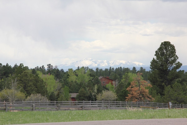 Custom Home The Timbers Neighborhood Parker Colorado