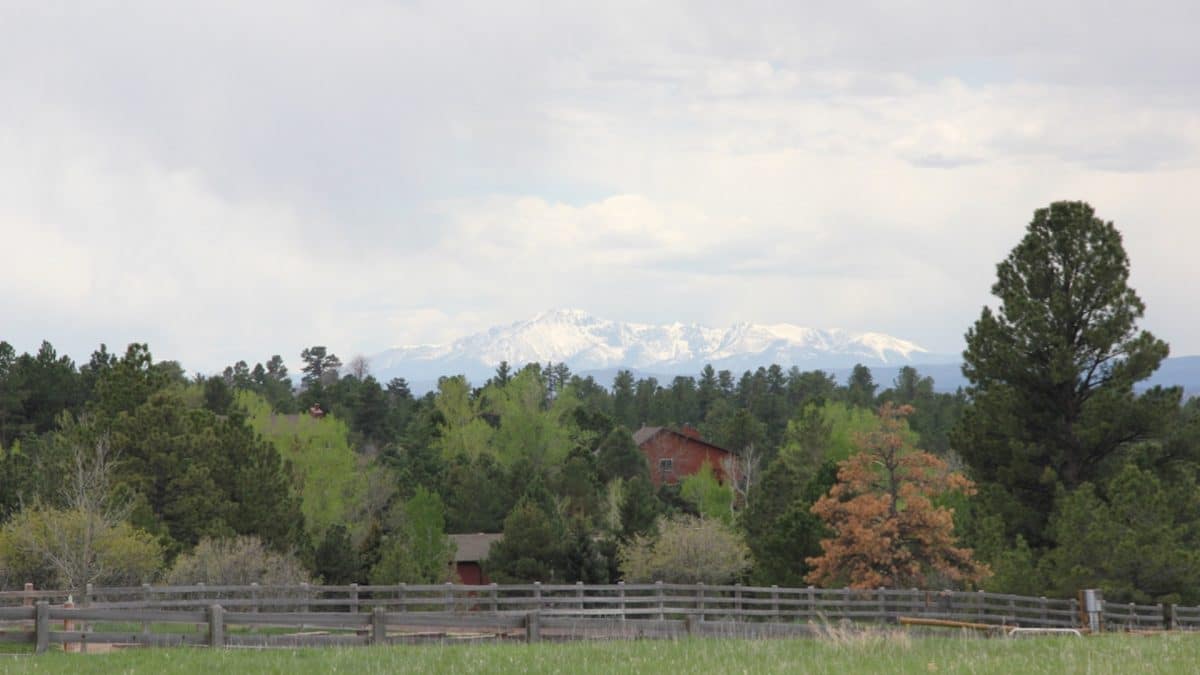 The Timbers, Misty Pines and High Prairie Farms